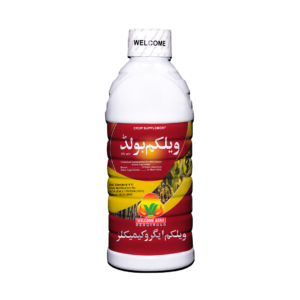 WELCOME BOLD 500ml